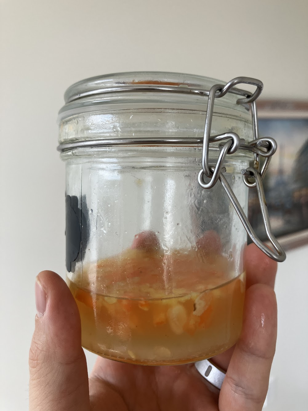 Jon's Homemade Fermented Hot Sauce